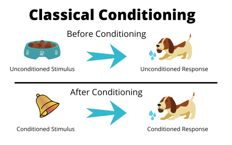 Examples of Classical conditioning