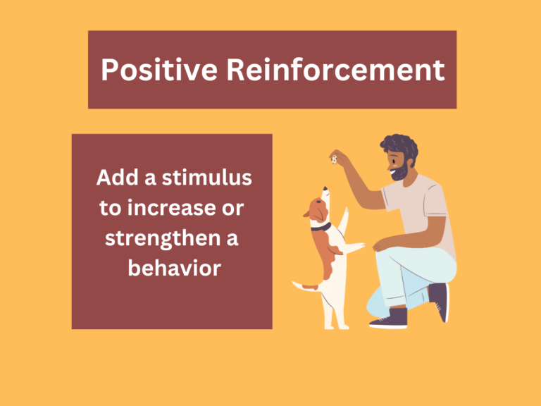 Positive Reinforcement Examples: Definition and Uses