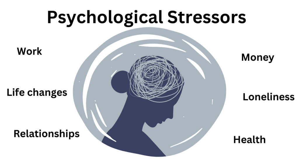 what-is-a-psychological-stressor-explore-psychology