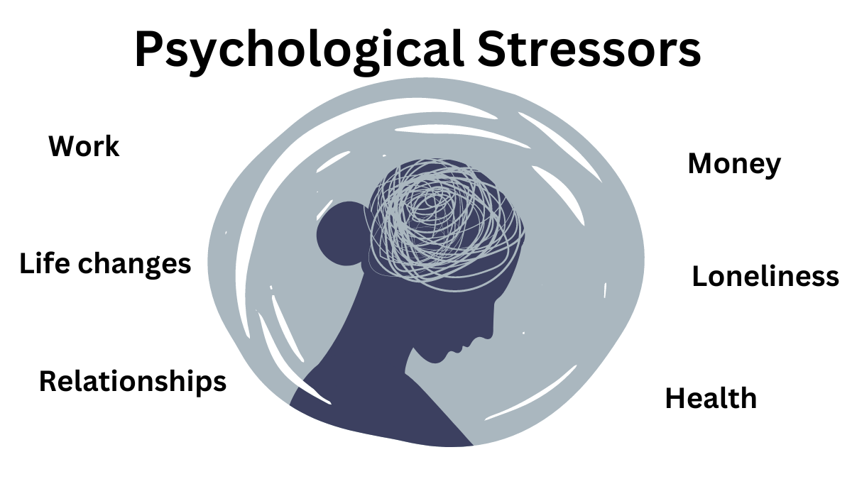 What Is a Psychological Stressor? Explore Psychology