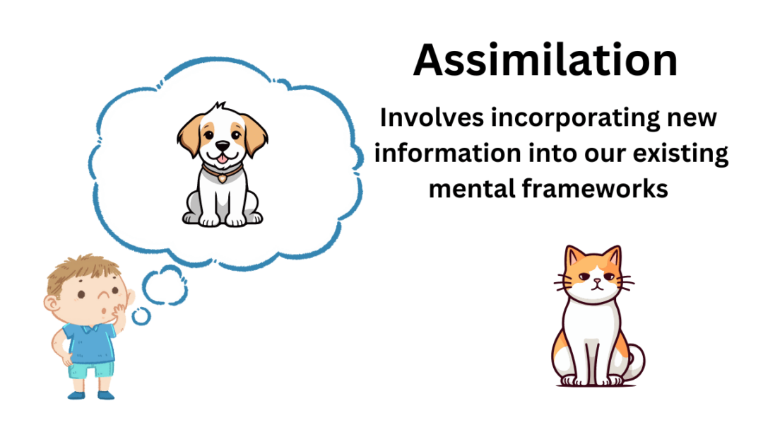 Assimilation in Psychology: Definition and Examples - Explore Psychology