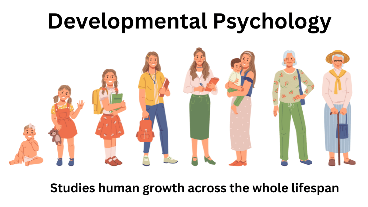 developmental psychology is a research area that emphasizes the