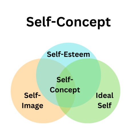 Examples of Self-Concept: Theories and Key Factors