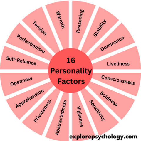 What Are the 16 Personality Factors?