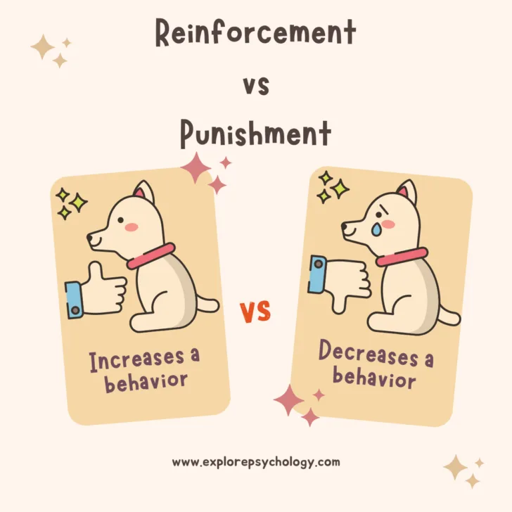 Reinforcement vs. Punishment: What Are the Differences?