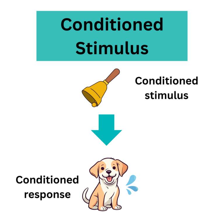 Contingent Reinforcement: Definition and Examples