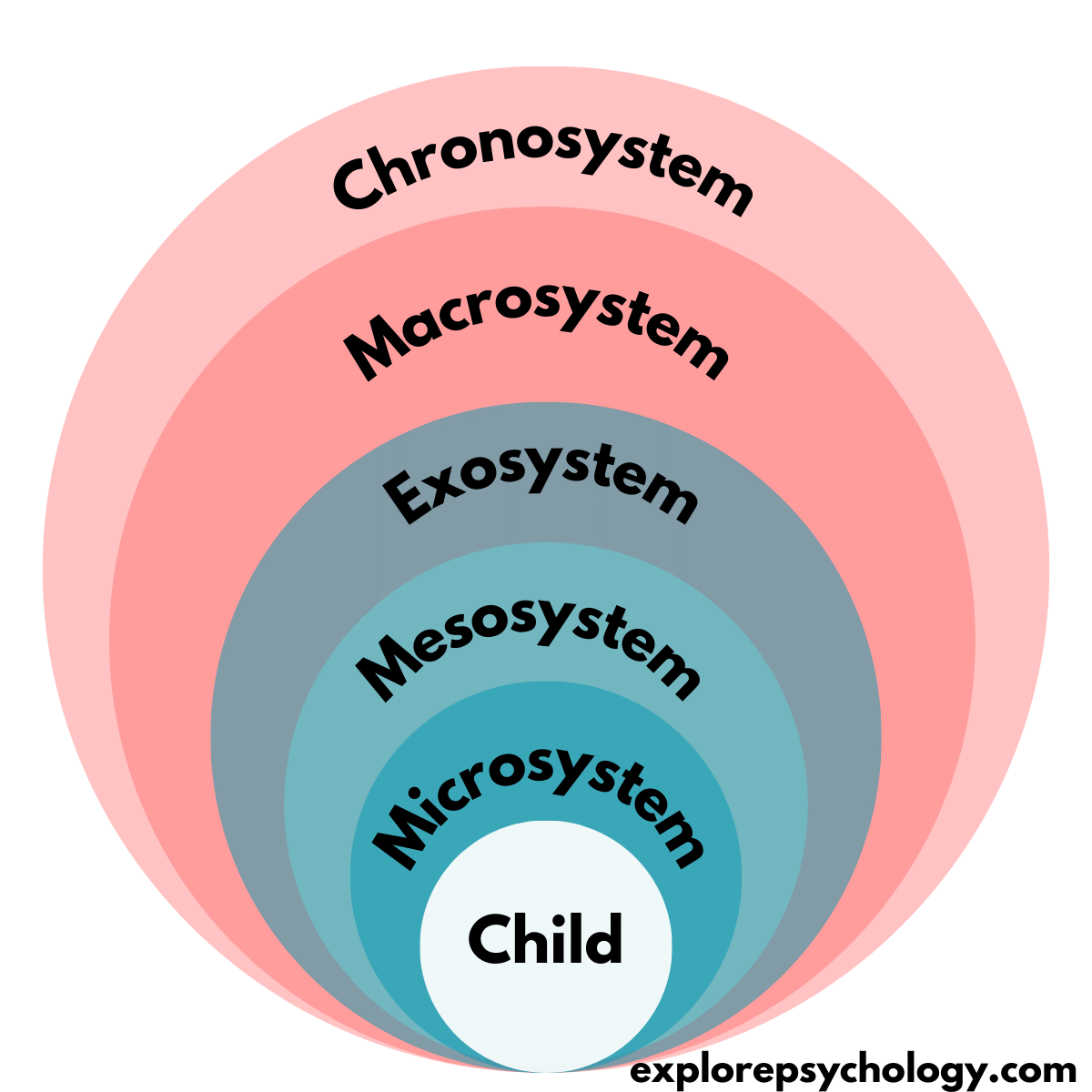 The five levels of ecological theory.