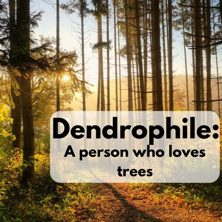 What Is a Dendrophile? Definition, Signs, and Effects