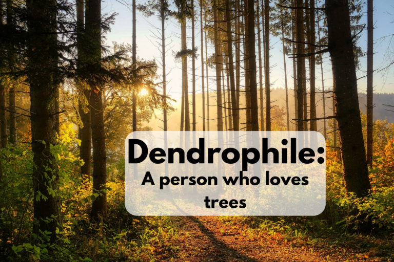 Dendrophile definition