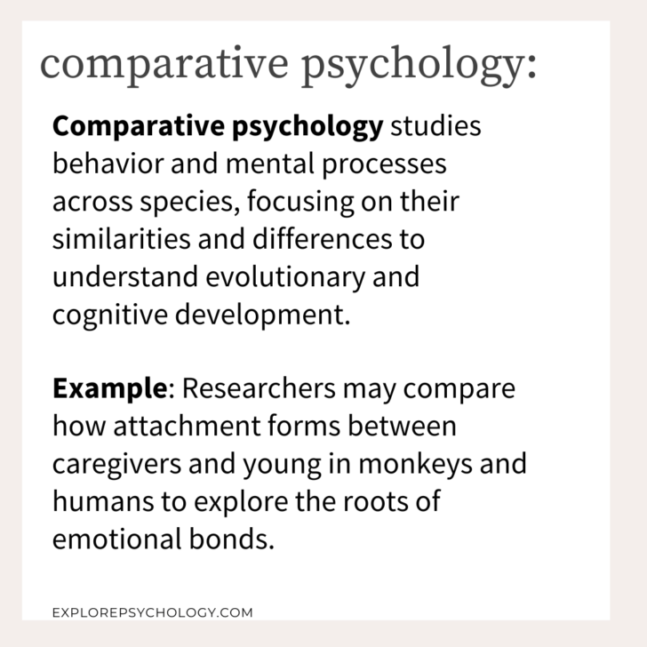 Comparative Psychology: Definition, Examples, and Research