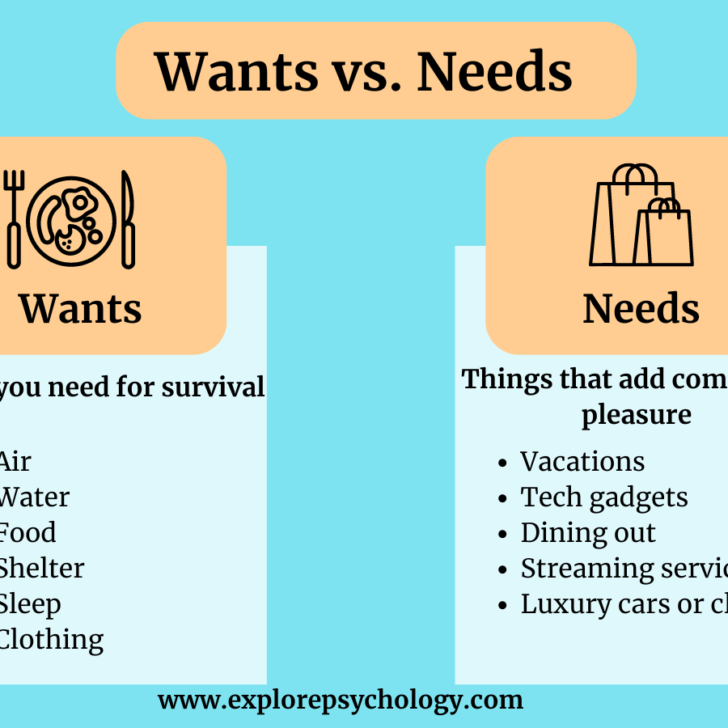 Examples of Wants and Needs