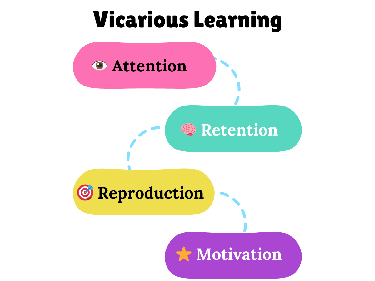 Vicarious Learning: How We Learn By Watching Others